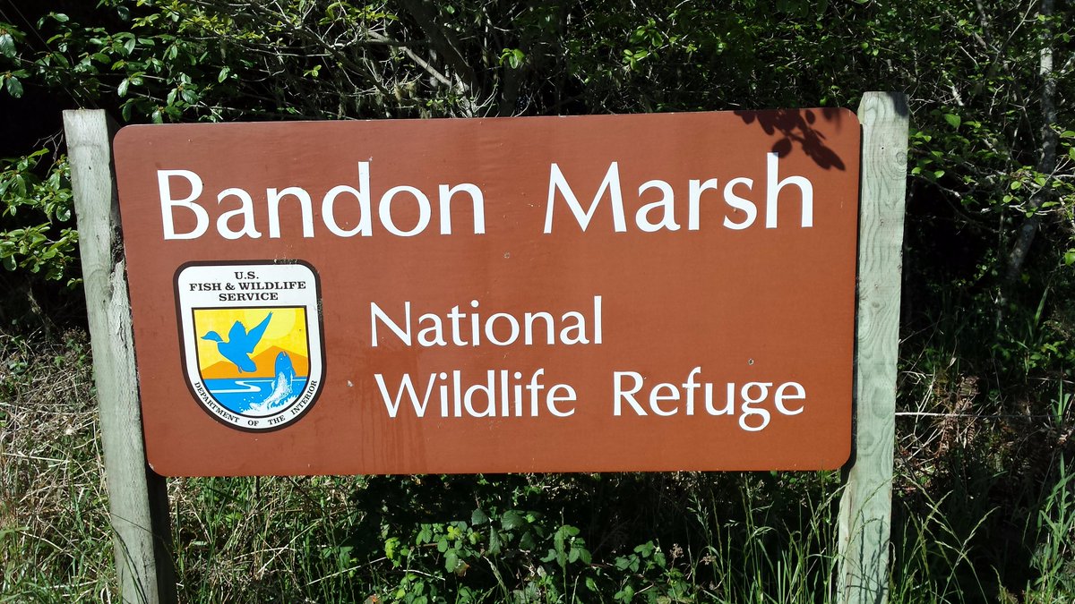 BoatBirder's tweet photo. Just had a feeling of Déjà Vu! while travelling #birdingoregon @wkwk We should definitely try to twin up! @KarlC22 http://t.co/NNJZRztxpP