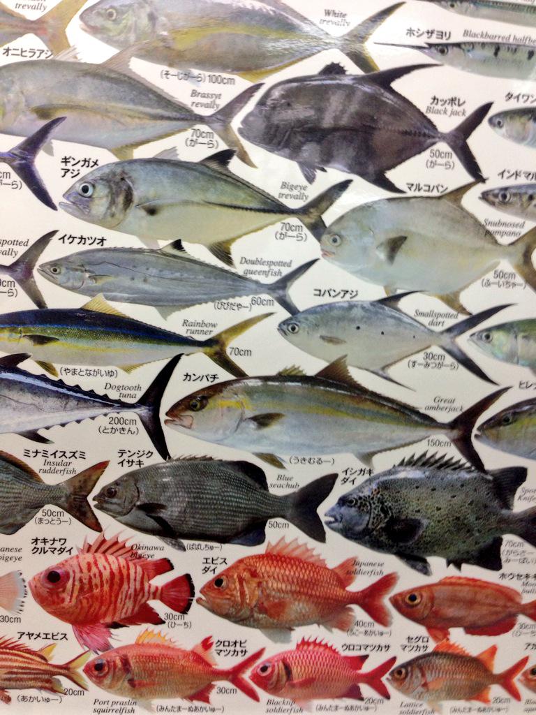 Gomess 沖縄のお魚 242種類ポスターで グループアイドルを作ろうとしてる タカサゴからササムロあたりが石井さんの推しだそうで 俺は キツネダイかなあ トンキンイトヨリも 一見地味なんだけど見逃せない魅力ある 可愛いなあー Http T Co Obtcwsexhk