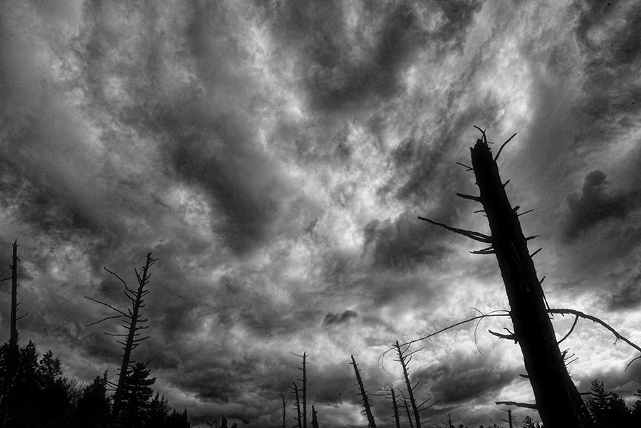 jayphotos (@jayphotos) | Twitter