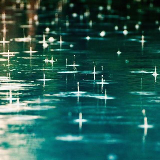 centonmemory's tweet image. Spring showers are here! #centonelectronics #memoriesthatlast #flashdrive #usb #springshower #goodmorning #memorycard