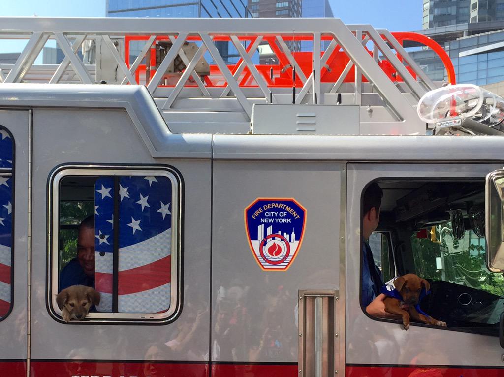 FDNY's tweet photo. #FDNY150 truck is in #ColumbusCircle with @AnimalLeague for #TourforLife2015 honoring Firefighter from #Ladder113 http://t.co/LZzqAPpmlf