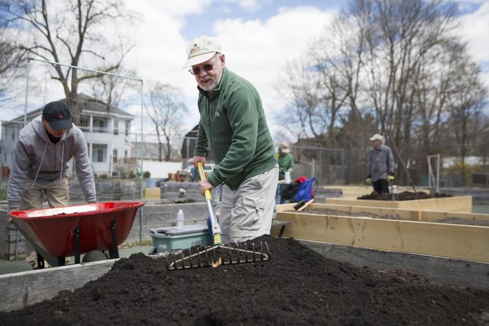 MyGlobeNorth's tweet image. Community gardens offer fresh food, ties to community bostonglobe.com/metro/regional… @MillCityGrows