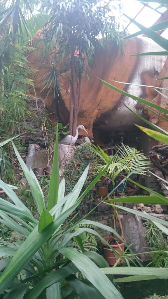 Wat een prachtige trouwdag. Ik begon in het Johanneskerkje en eindigde in het <a href="/hetparadijs/">Het Paradijs</a>. Topdag gevuld met liefde!