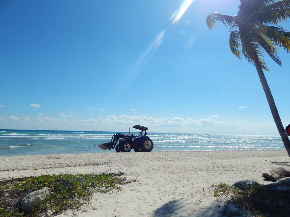 TesoreríaSolidaridad tweet media