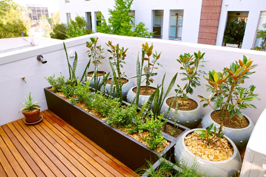 EU_ENV's tweet photo. Have you organised an eco-friendly project? Send us your pics &amp; will be shown at #EUGreenWeek http://t.co/wWxNpIifoo http://t.co/qGtF3ru5eP