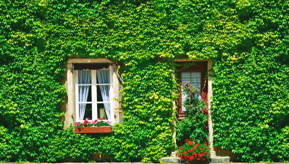 EU_ENV's tweet photo. Have you organised an eco-friendly project? Send us your pics &amp; will be shown at #EUGreenWeek http://t.co/wWxNpIifoo http://t.co/qGtF3ru5eP