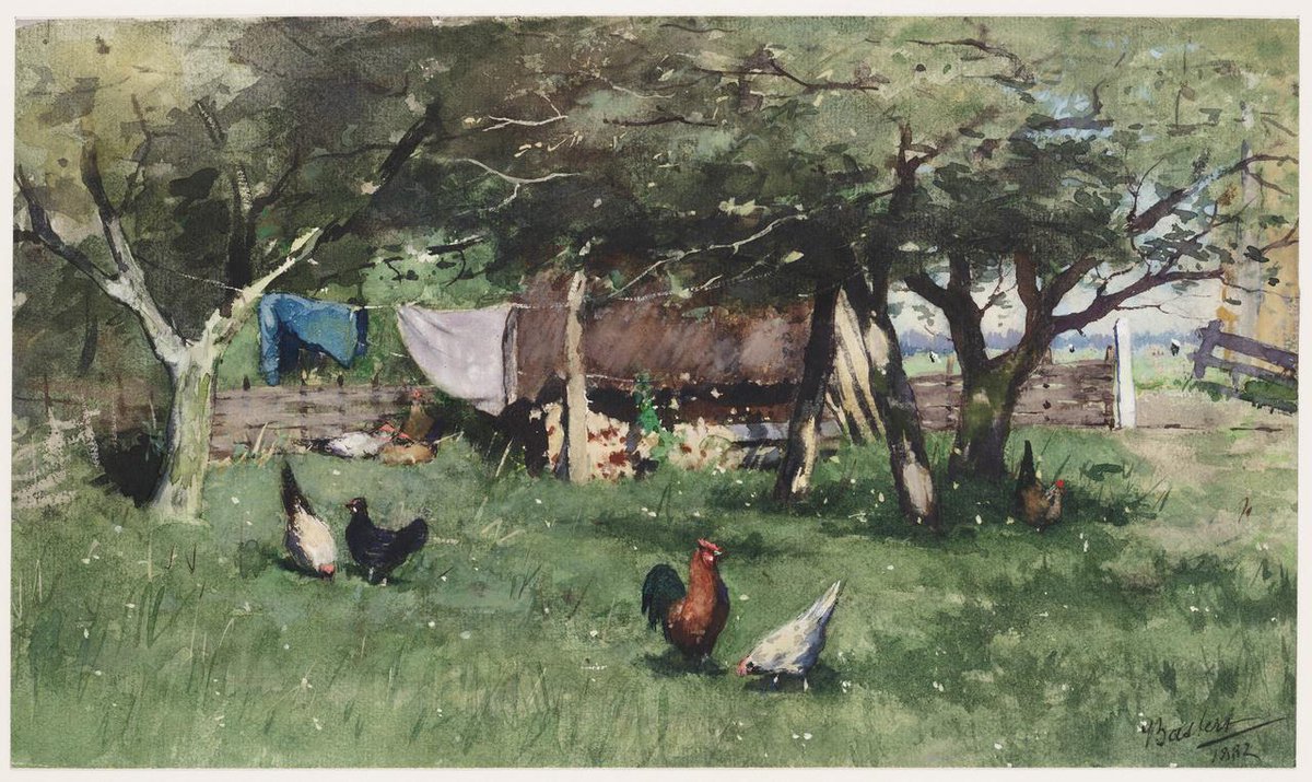 TEYLERS's tweet photo. Deze #kippen scharrelen vrolijk in het #gras onder de waslijn. Alsof zij ook weten: bijna #weekend! (#Bastert) http://t.co/MkapIxVFHS