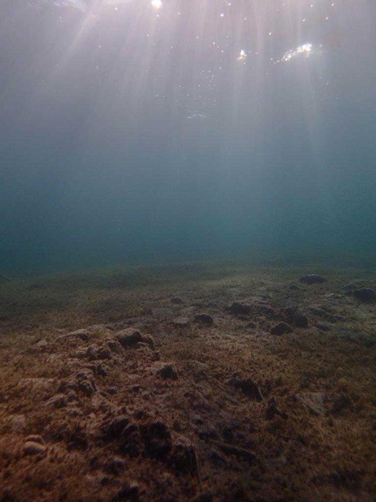 Auch Unterwasser ist der Attersee einzigartig!
#pfahlbau #attersee #salzkammergut #geraldegger