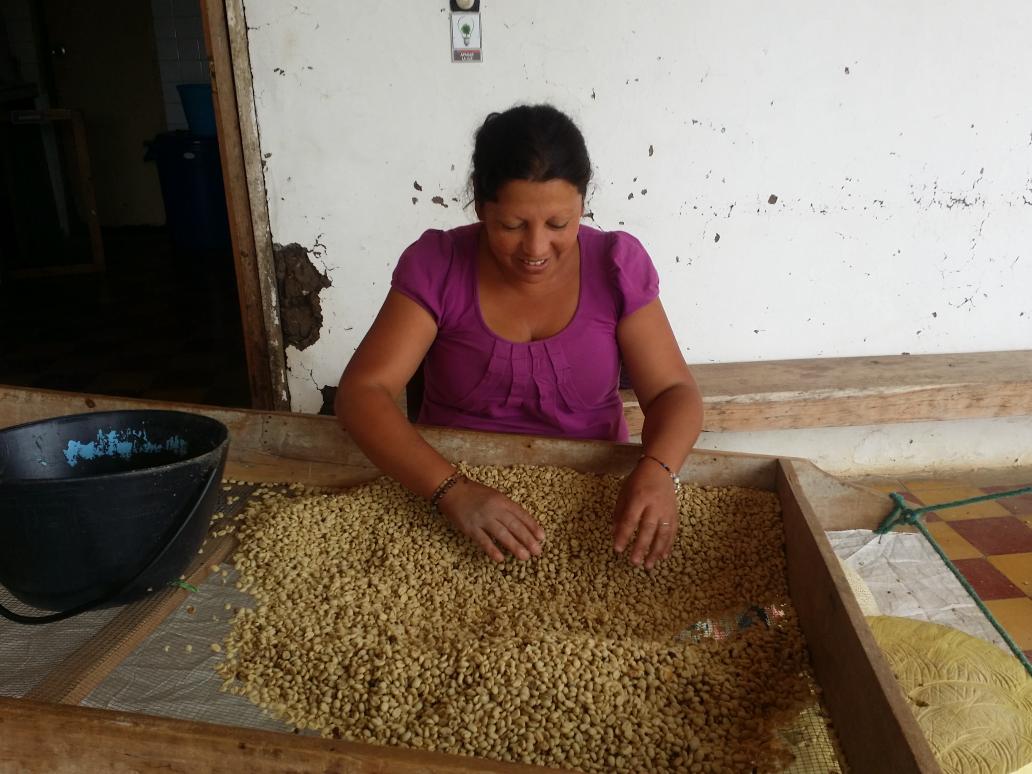 Antis Coffee tweet media