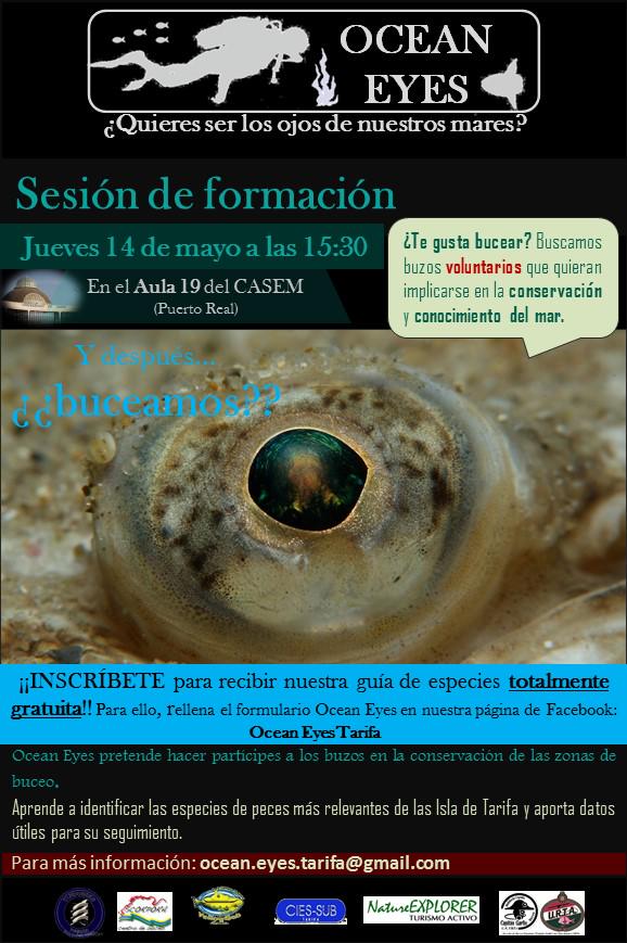 OceanEyesTarifa's tweet photo. ¡Confirmada la siguiente sesión de formación! Infórmate sobre cómo puedes ayudar en la conservación de nuestros mares http://t.co/MWsfJKg58y