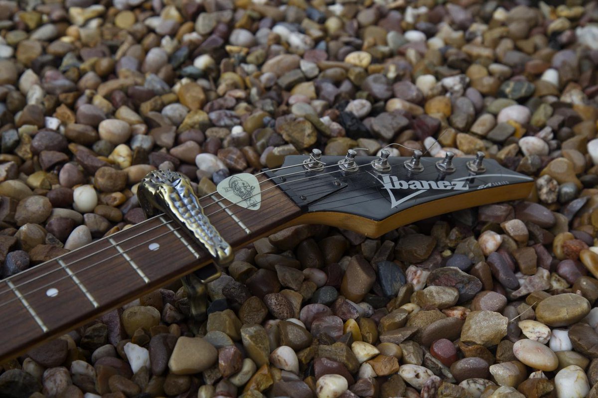 PlecPicker's tweet image. Please Retweet To Win A Crocodile Capo From PlecPicker.com. 1 Winner Picked @ 444 RT&apos;s.