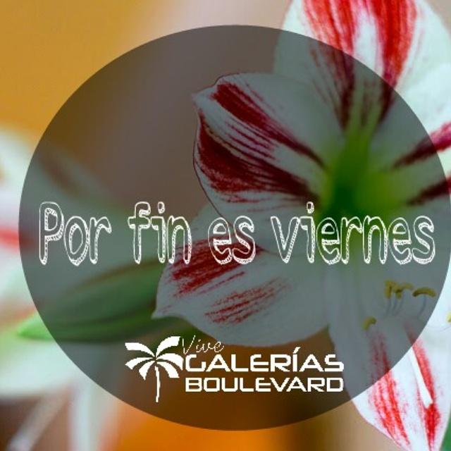 ElTuxtlecoyo's tweet image. @GaleriasBlvd: ¡Feliz viernes!
#ViveGaleríasBlvd : ¡Feliz viernes!
#ViveG... bit.ly/1cgqV4Q @drakers46