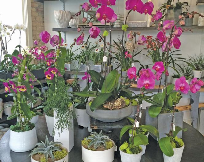 CityWeekly's tweet photo. .@ChristaZaro Shop Girl's favorite (local) Mother’s Day gifts http://t.co/5HCiVMe7CB #SLC #Shopping #MothersDay http://t.co/LjjaKyUcJZ