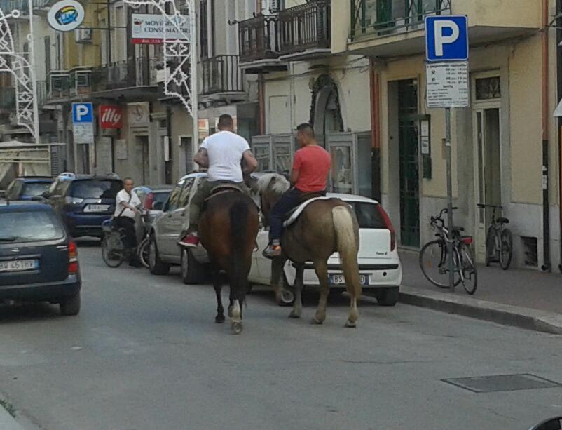 severflorio's tweet image. questa è la città di Miglio sindaco .Il salotto dello shopping. Queste sono le idee per il commercio