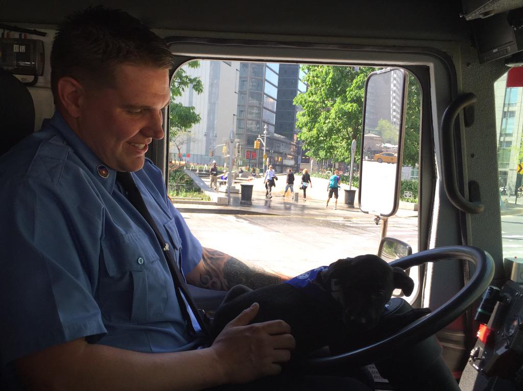 FDNY's tweet photo. #Ladder113 Firefighter Valerio got an award @AnimalLeague #TourforLife2015 in #ColumbusCircle & this guy got a home! http://t.co/rdxawMd2uC