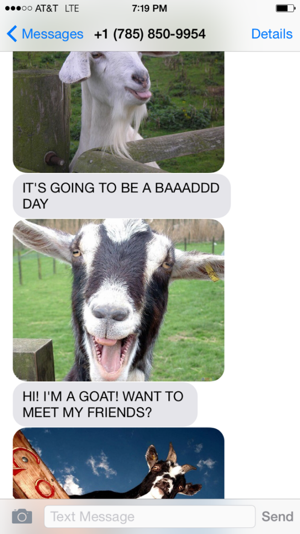 SlateCulture's tweet photo. Now you can attack your friends with photos of goats. Here's why maybe you should: http://t.co/X0cgvU6Jgb http://t.co/xA509ADUOL