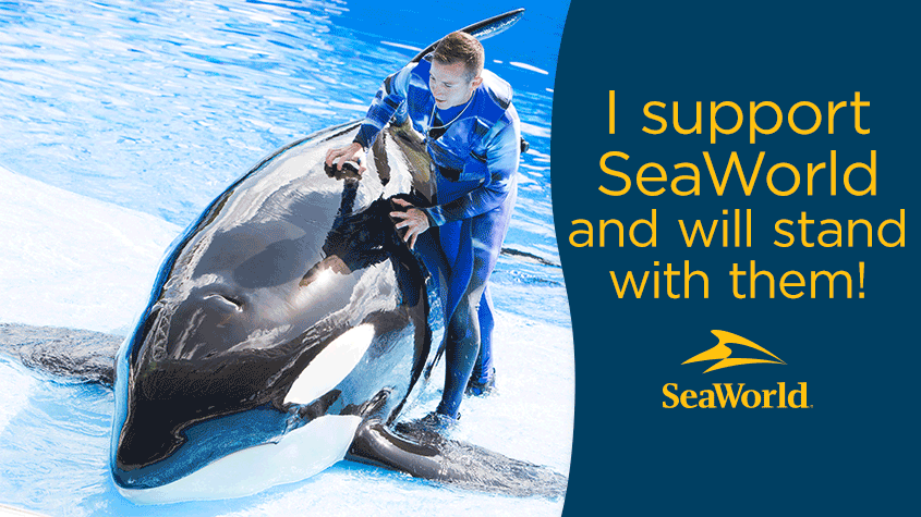 SeaWorld's tweet photo. Hey awesome SeaWorld fans! Is this statement true? Then sign up here to join our Truth Team: http://t.co/HjSU91FSaV http://t.co/x6M4lhq6je