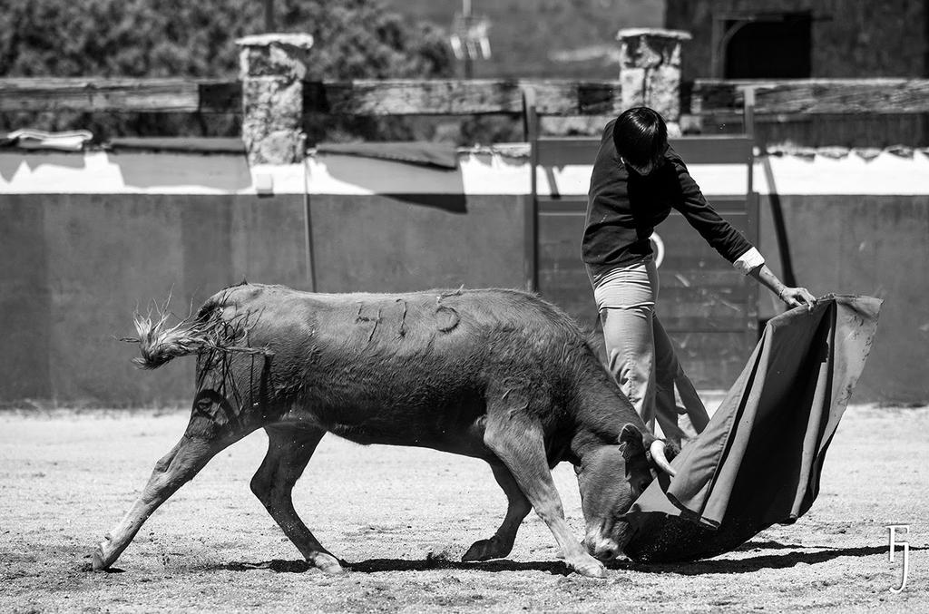 Victoriano del Río tweet media