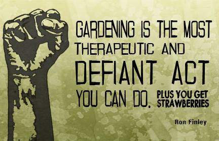 _Be defiant! #plantsomeshit #urbangardens #growyourownfood #foodindependence #ediblegardens #losangeles @RonFinleyHQ