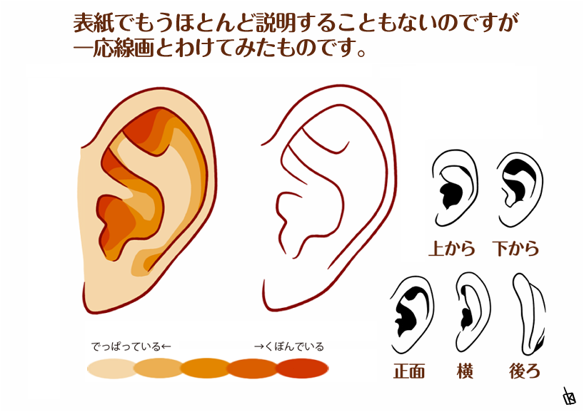 耳の講座の2ページ目と3ページ目は皆に見てもらいたいのよ 