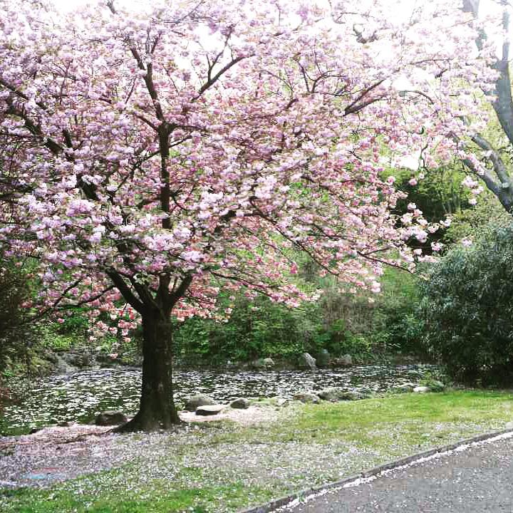 Ju (@juforli) on Twitter photo 