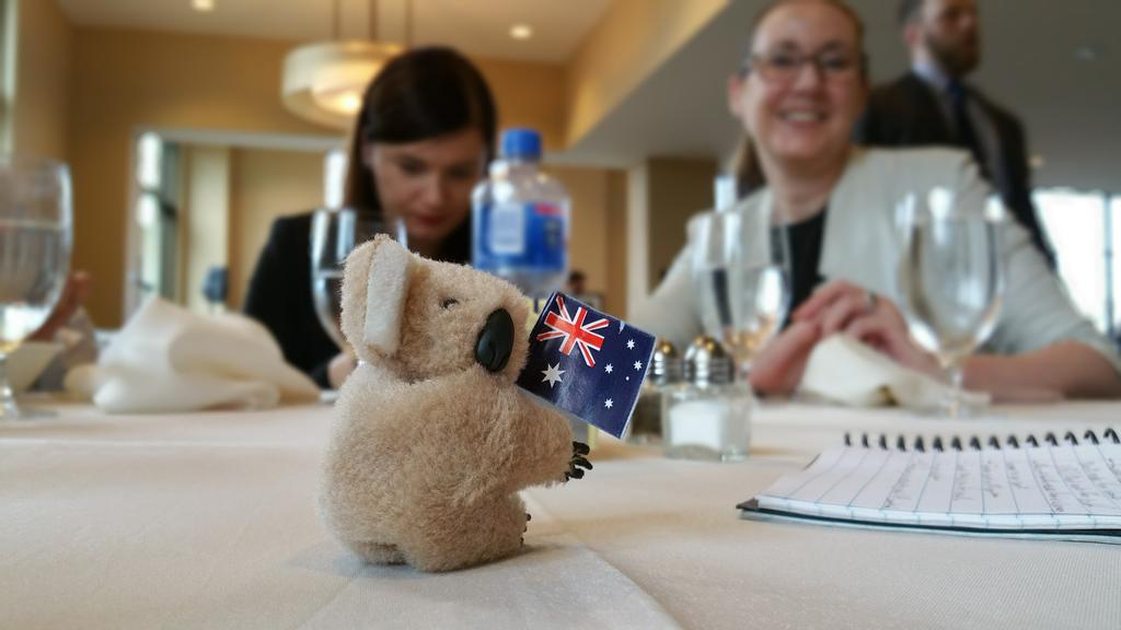 PDNVC's tweet photo. @MadeleineTewes having fun with the elite tutoring service from down under! #BuddyUp at #GVLIC2015 http://t.co/lEb0hsYRmh
