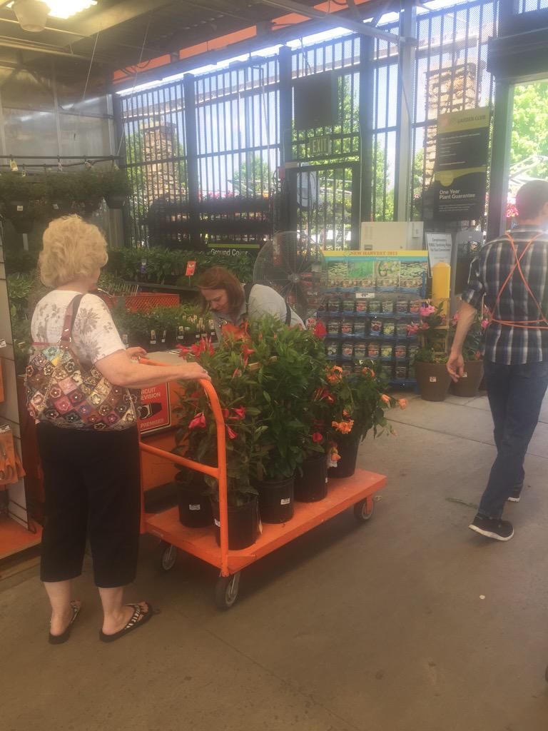 THD3662's tweet photo. Cart full of Mandevilla going to a new home. @TaraTuckerTHD @BaucomJbaucom http://t.co/8dcXpXoi3D