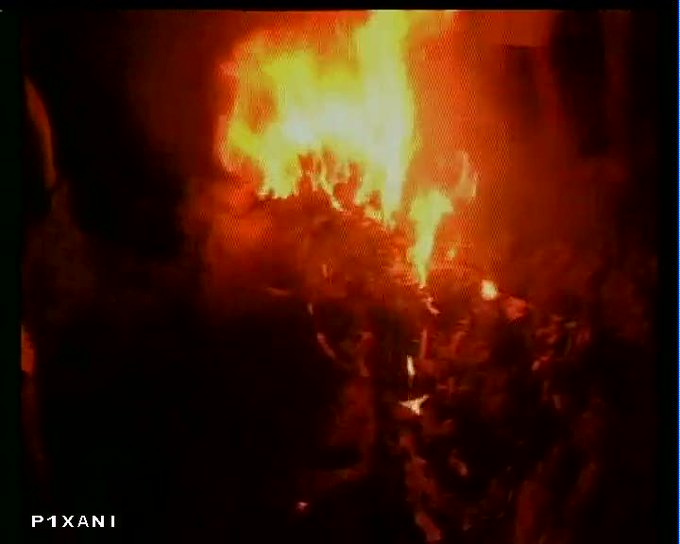 Ver imagem no Twitter