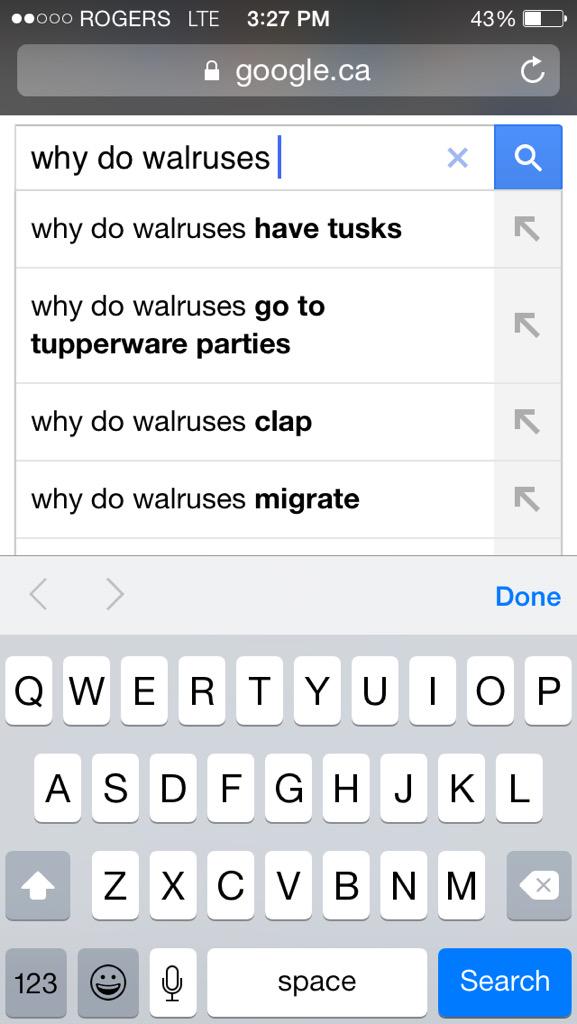 gurrrl101's tweet photo. Why is this a thing ??????? #TupperwareParties http://t.co/yIonblYxDy