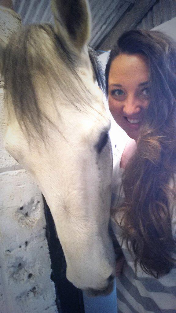 TheBakingDolly's tweet photo. Cuddles with my boy always cheer me up! @HorseHour #Jack #cassiniII #holstein http://t.co/KUvybPQ18c