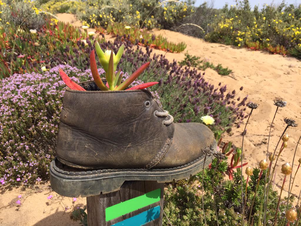 insidetravellab's tweet photo. This boot was made for....? #portlab @headwaterhols http://t.co/9vYef484W3