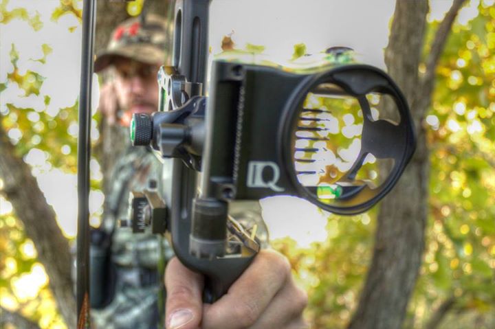 IQ Bowsights tweet media