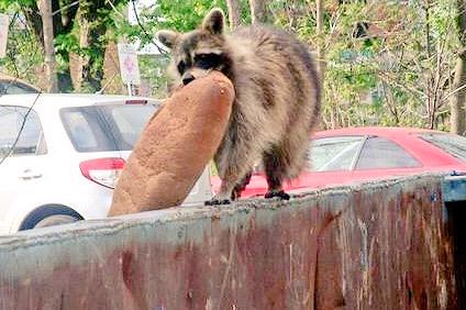 anarcharaccoon's tweet photo. "If they don't give you work, ask for bread. If they do not give you work or bread, then take bread." http://t.co/jnZVPduN7U