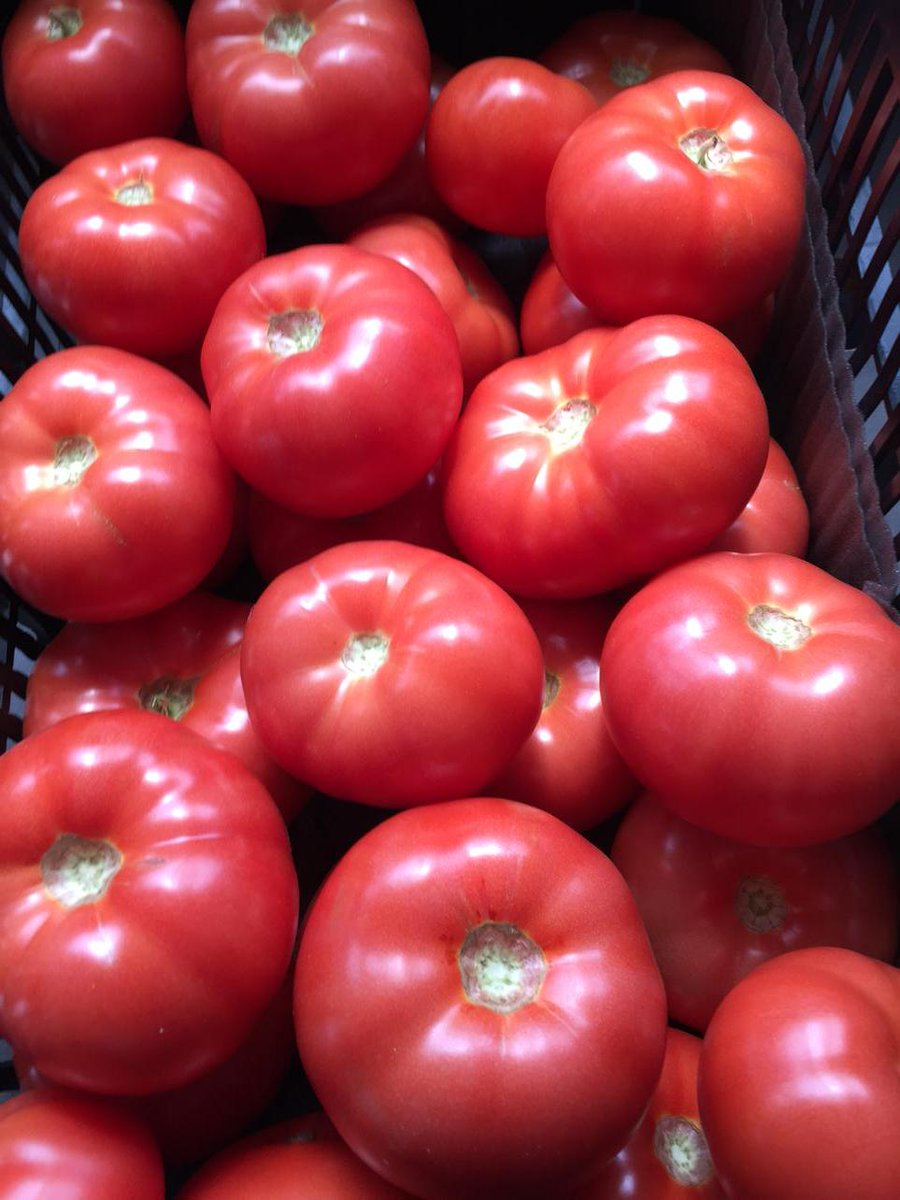 Beefsteak tomatoes tomorrow <a href="/stoonfarmersmkt/">Saskatoon Farmers' Market Cooperative Ltd.</a>