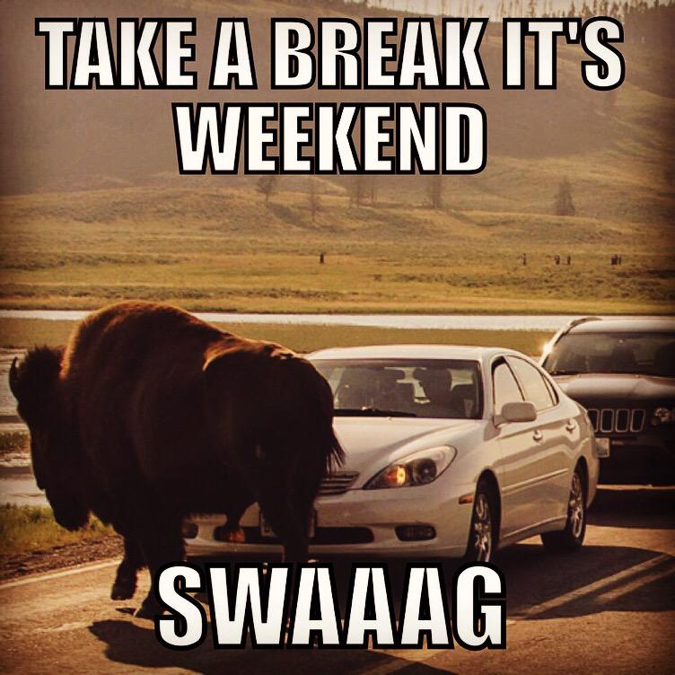 swaaag_us's tweet photo. #weekend #thrillingTimes #swagMoment #swagastic #joinNow #download #tbt #beyondTheLike #fun #instatbt #photooftheday http://t.co/B8wZMrEKwf