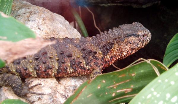 Curtis Brainard tweet media