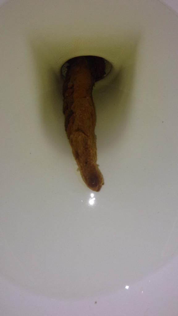 shitpics4u's tweet photo. Long and skinny, just how I like them. 👌 how do you prefer your shits? http://t.co/jOhfe3l5vB