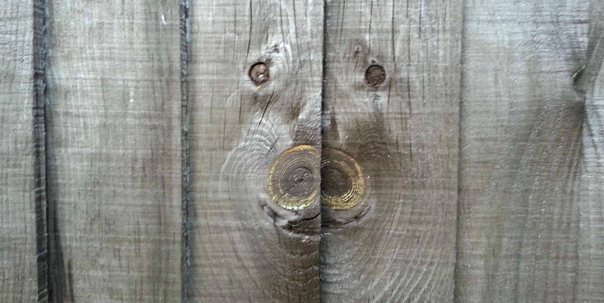 Uber_Genius's tweet photo. Happy wood pig. http://t.co/DziMCV2noq