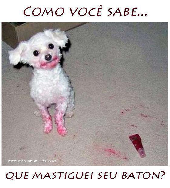 AugustoPrunzel1's tweet photo. É? http://t.co/91zfcHYYJ0