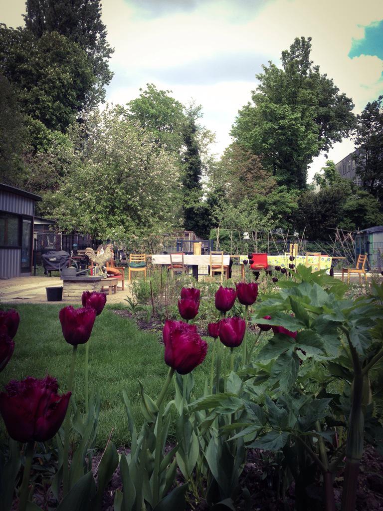 The project is getting better and better; community gardening in Rotterdam. #bajonettuin #city