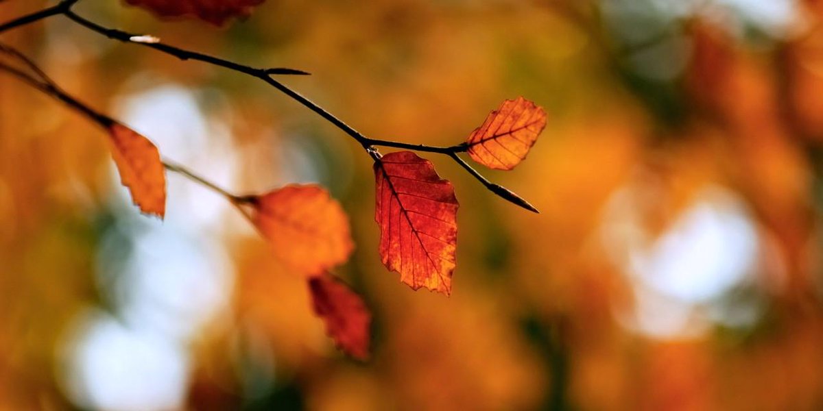 Yarası kabuk tutmayan yüreklerimize rahmet et,
Gönüllerimizin yorgunluğunu al Allah'ım. •