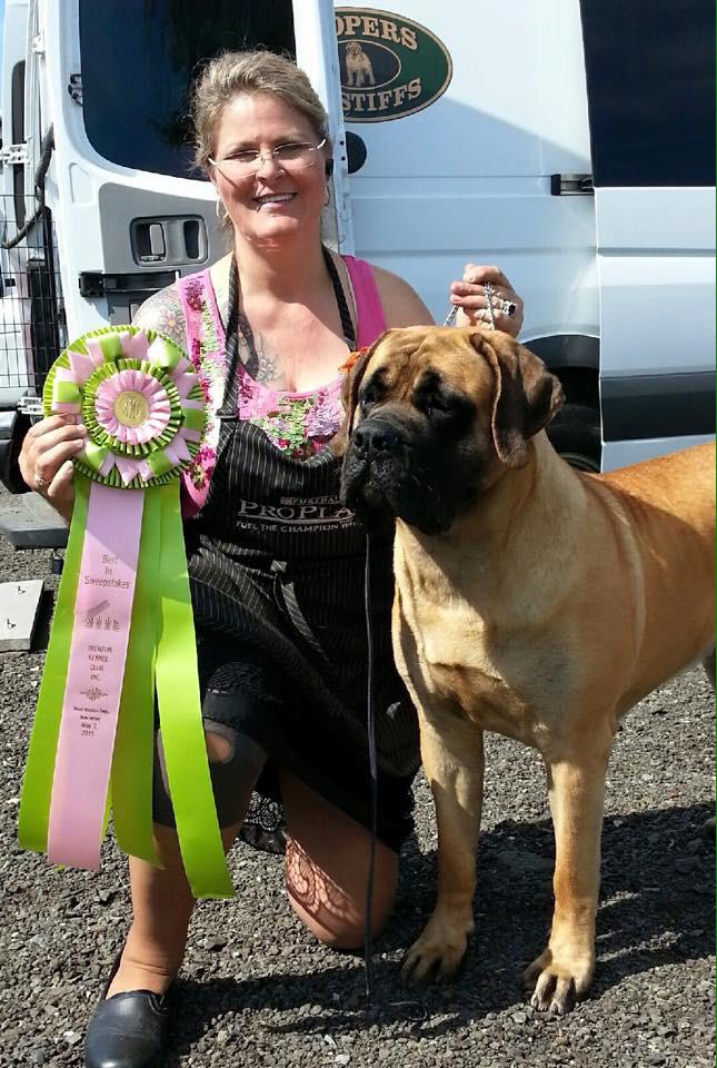 CooperMastiffs tweet picture