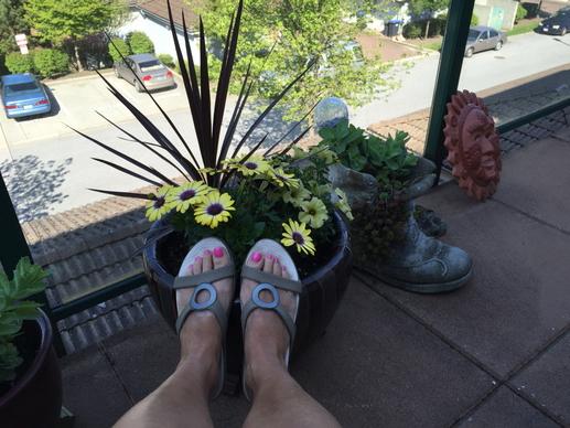 DeborahPeck17's tweet image. #First2Spring