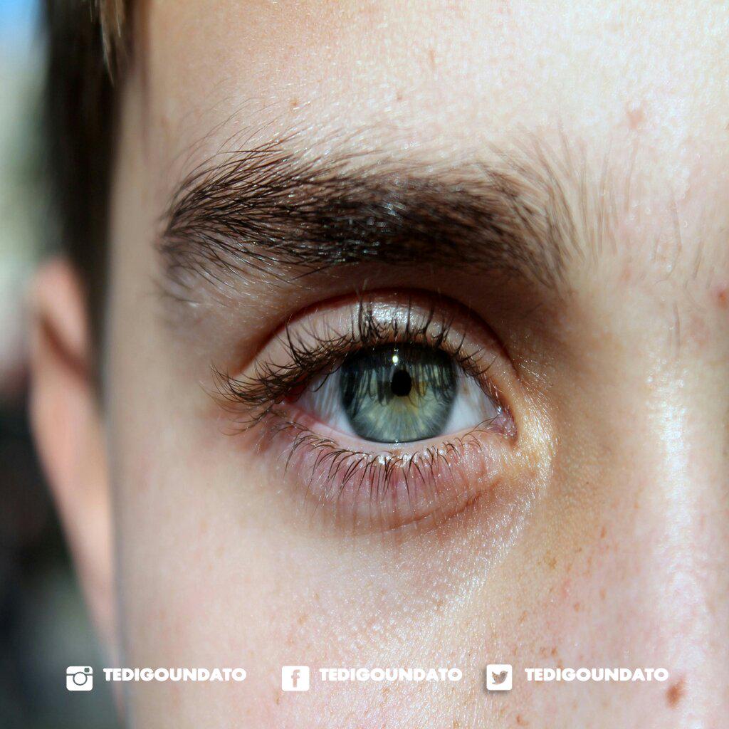 TeDigoUnDato's tweet photo. Las cejas constituyen una cubierta protectora de el ojo, ayudando a impedir el exceso de luz cegadora. http://t.co/lSZMJjKEKf