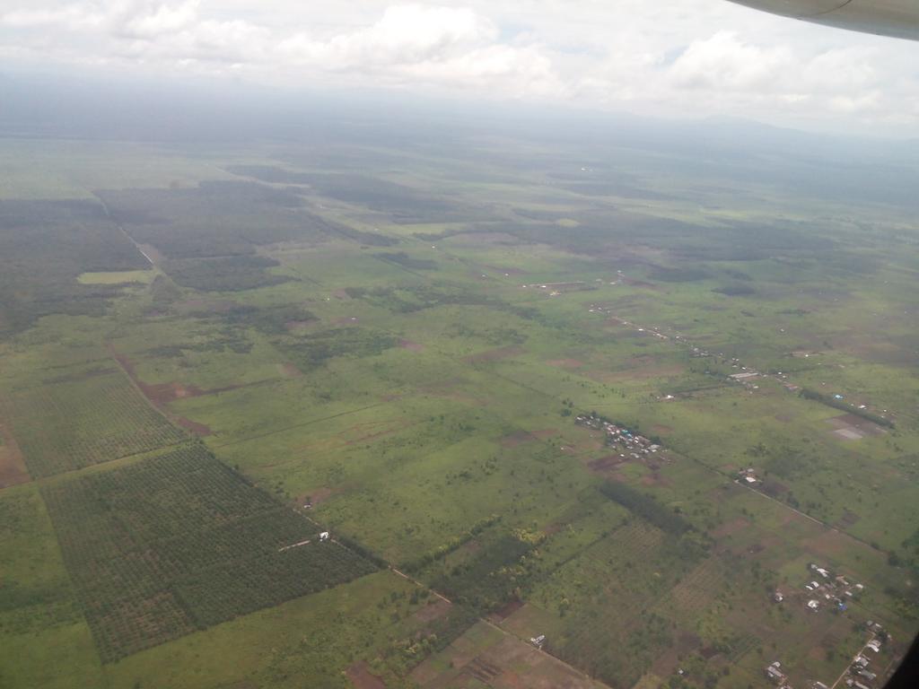 mansyurtw's tweet photo. Salah satu potensi pertanian Indonesia, hijau itu mrnyejukkan mata...Kaltim.@BersamaPetani http://t.co/5GzjF2Ptl2