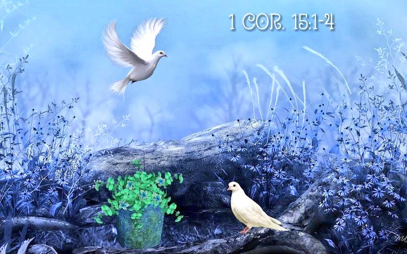 OceanSurfHydro's tweet photo. Trust that Jesus died for our
sins and rose to be saved.😁
1Cor.15:1-4

http://t.co/Y9vWYOzQ8M

 #حط_صورتك_و_انت_صغير http://t.co/pqRbb95mkw