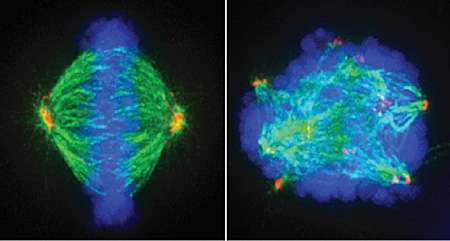 _ScienceStory tweet picture