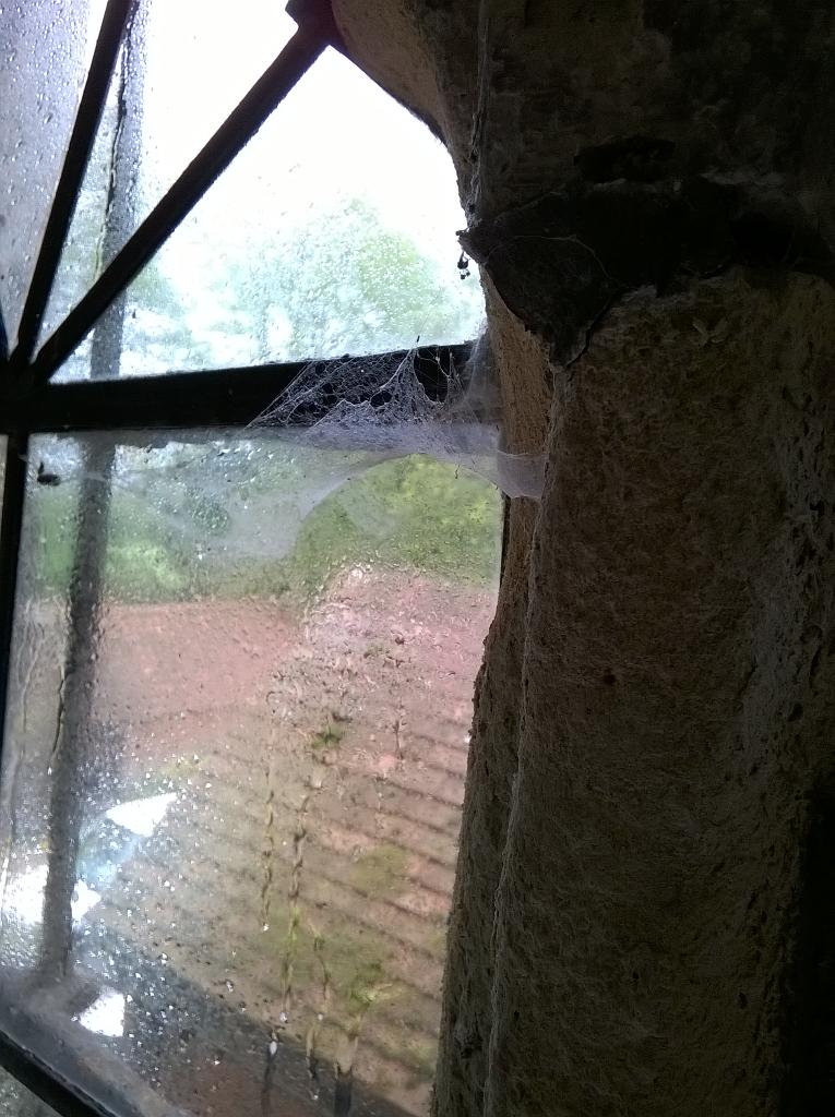 Think a good clean is required! #windowclean #windowcleaner #interiorclean #essex #springclean
