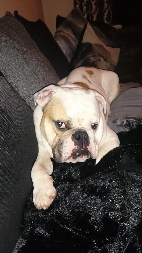 SamSamstevens's tweet image. 