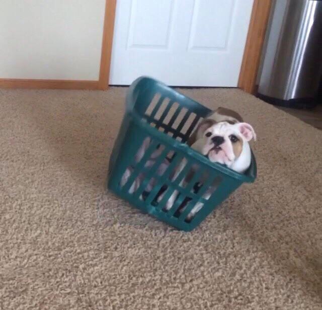 tnkerbcll's tweet photo. "how's your life going" http://t.co/A1mNJcXFUo